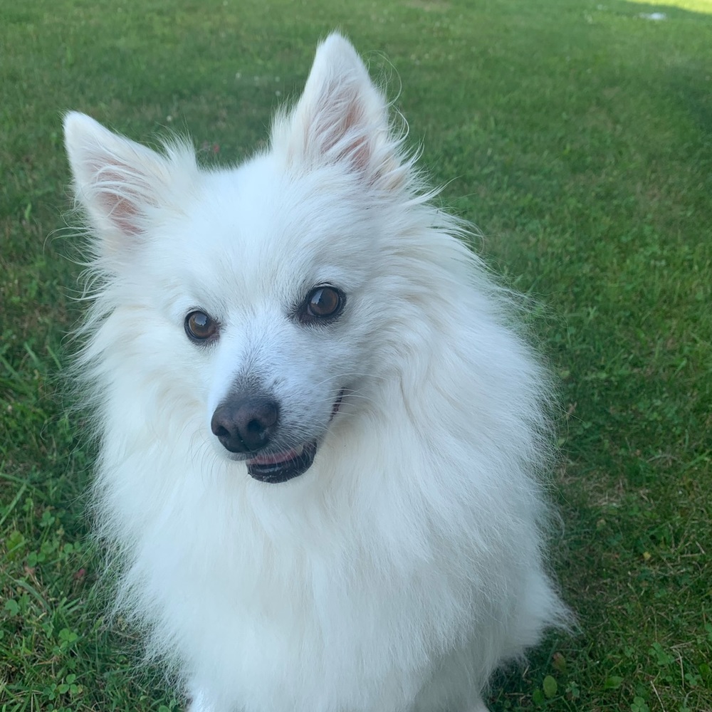 Meet your Posher, Joan